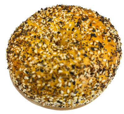 Egg Everything Bagel